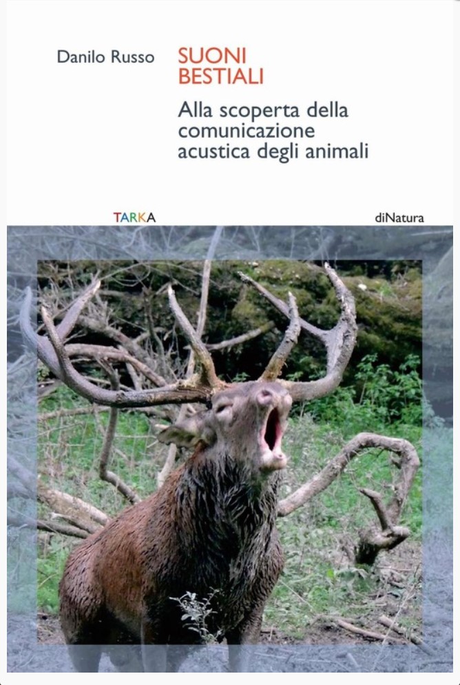 Danilo Russo – Suoni&nbsp;Bestiali
